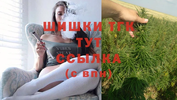 стаф Арсеньев