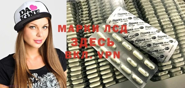 стаф Арсеньев