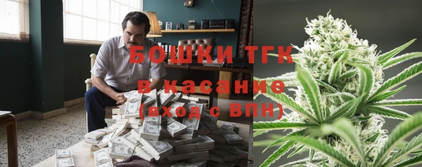 стаф Арсеньев